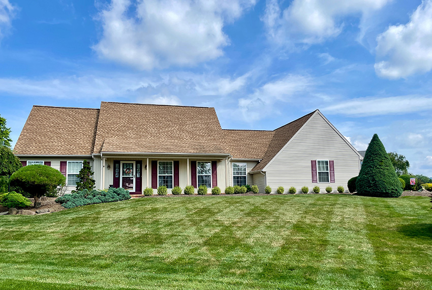 Lawn Maintenance